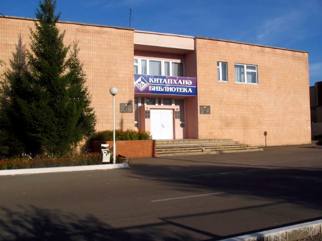 Библиотека