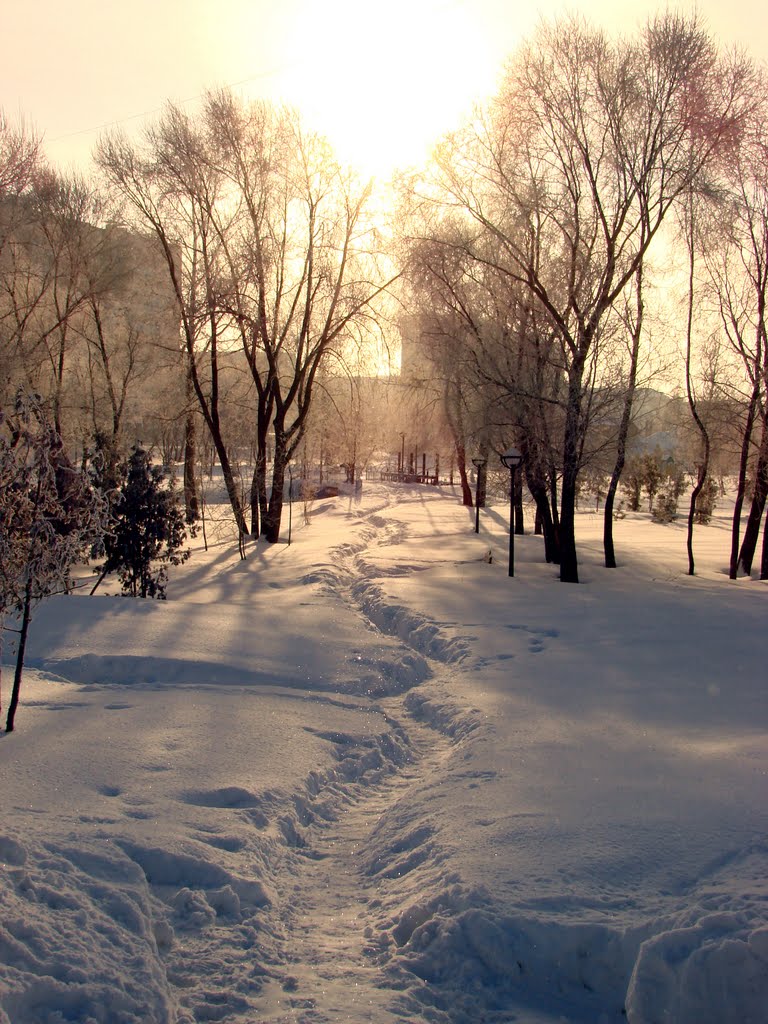 Тропинка к солнцу