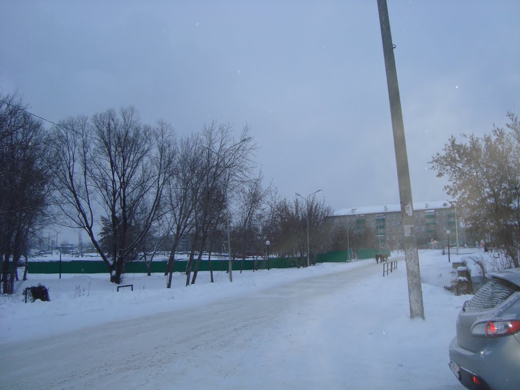 ул.Заречная