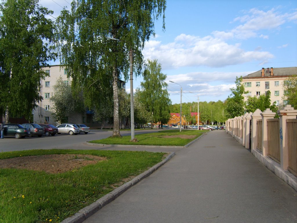 Дорога к озеру