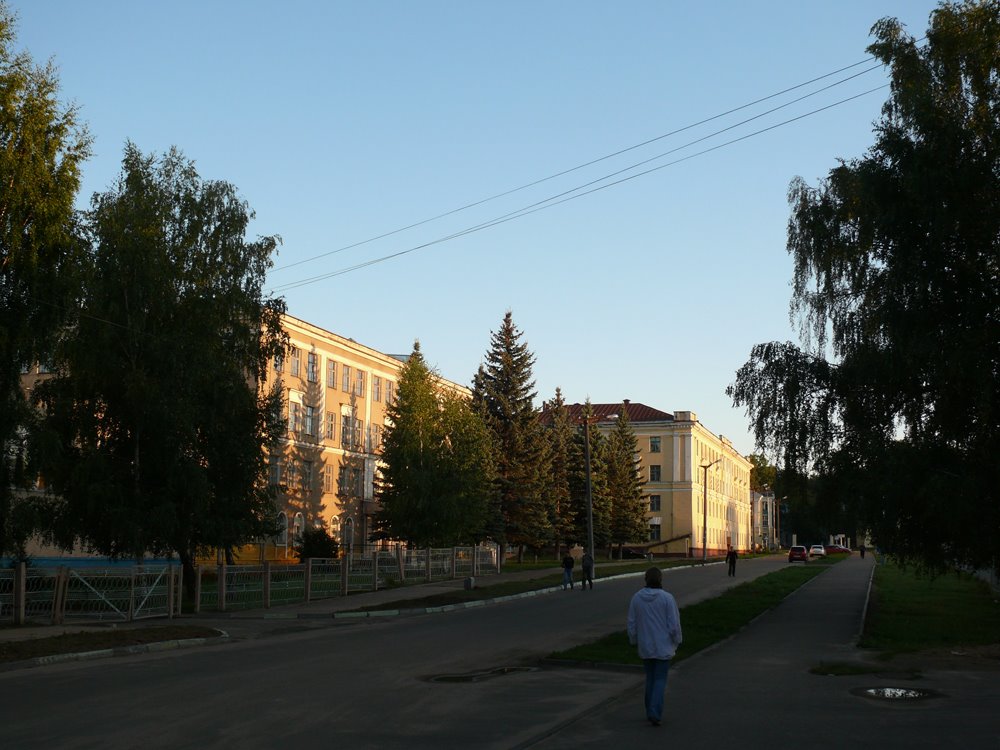 my walk 2