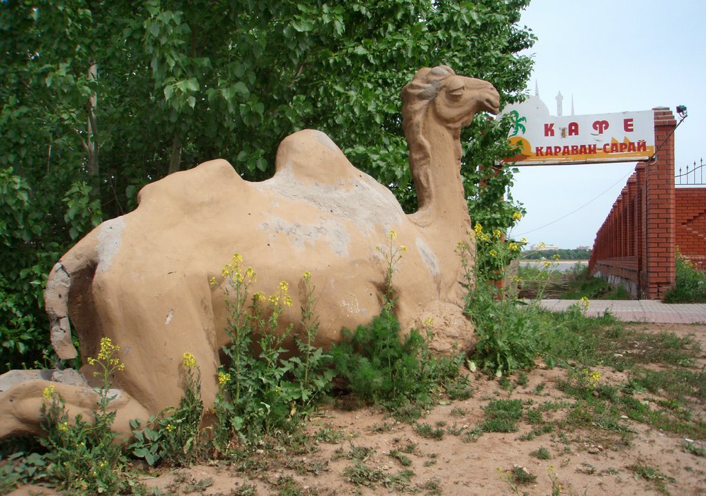 Statue of Camel near cafe "Caravanserai"
