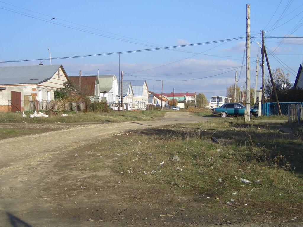 улица Мира в Лаишево