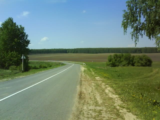 дорога в Лаишево