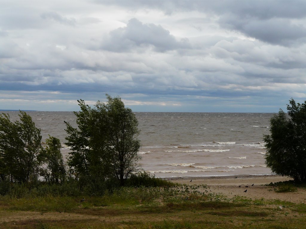 Strong wind on kama