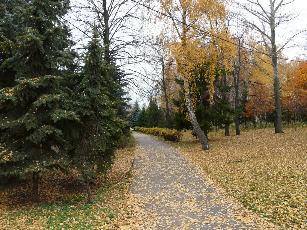 Парк Победы / Victory Park