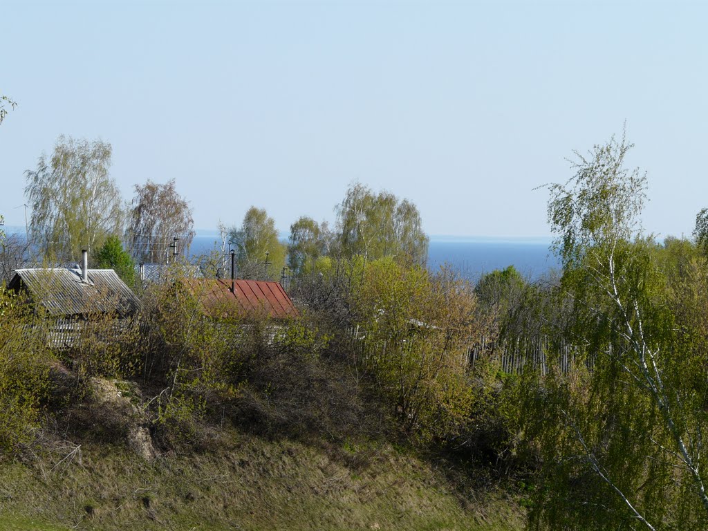 Чернозёрка.