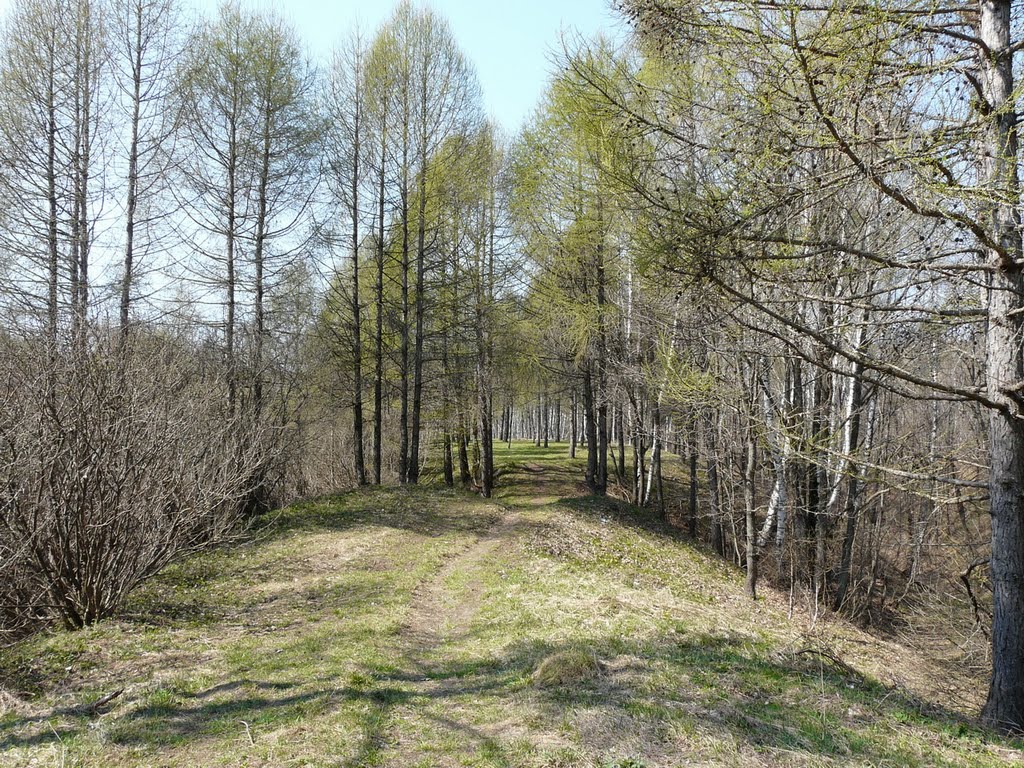 апрель.Веселой.