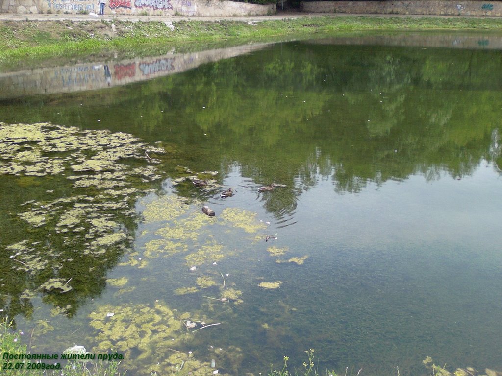 Leninogorsk