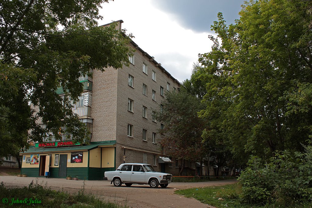 *** Дом №1 по ул Степной. Июль, 2009г. ***