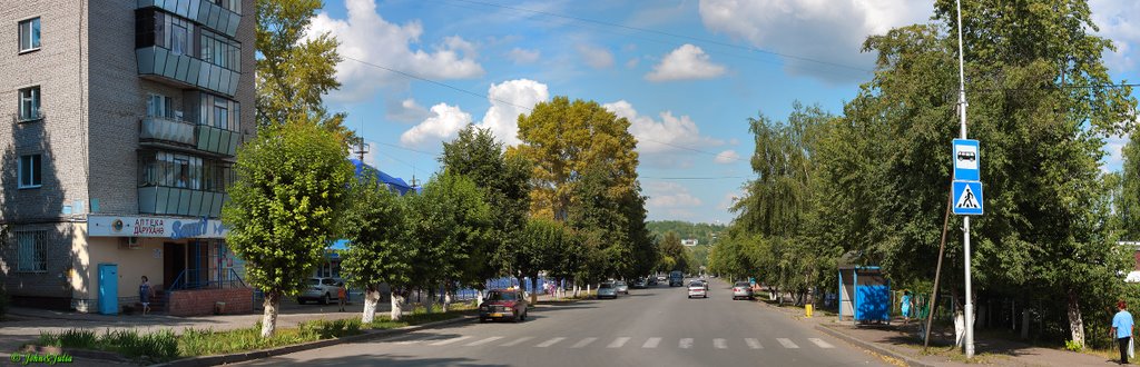 *** Улица Шашина ***