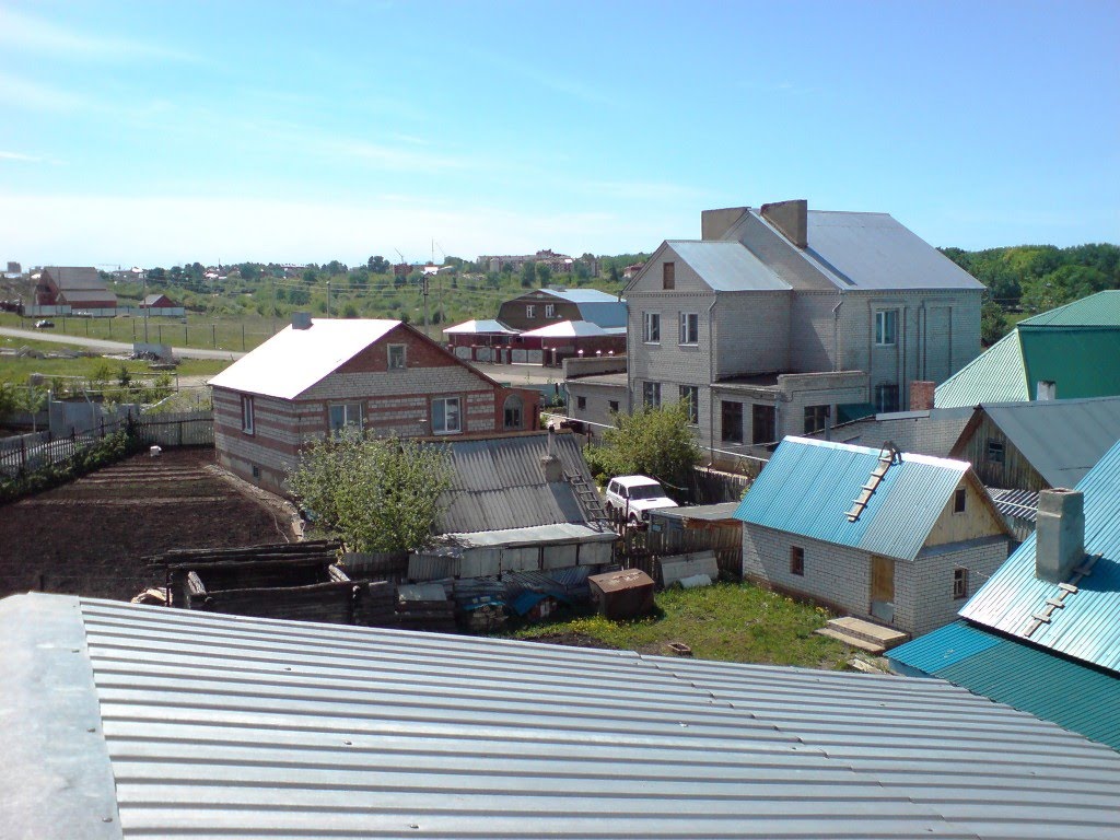 вид с крыши 2009