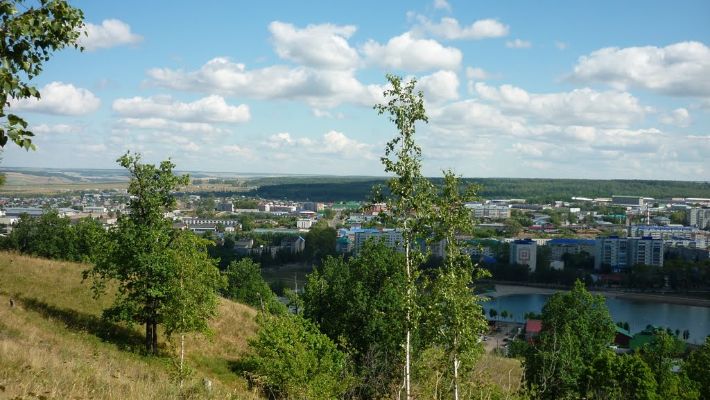 Вид на Лениногорск с холма