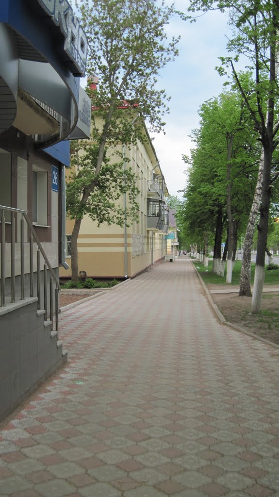ул. Ленинградская , пешеходная часть улицы