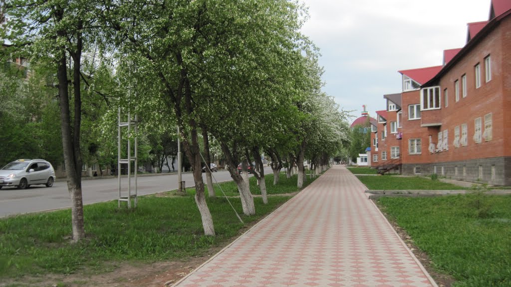 ул. Ленинградская , пешеходная часть улицы