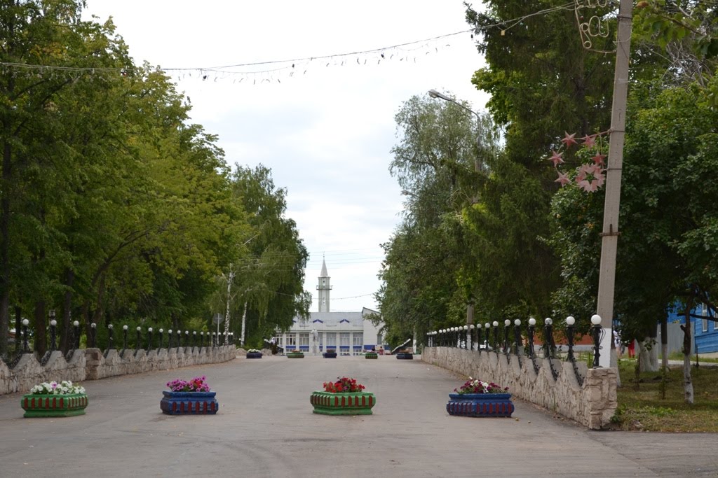 Мамадыш, перспектива ул. Советской
