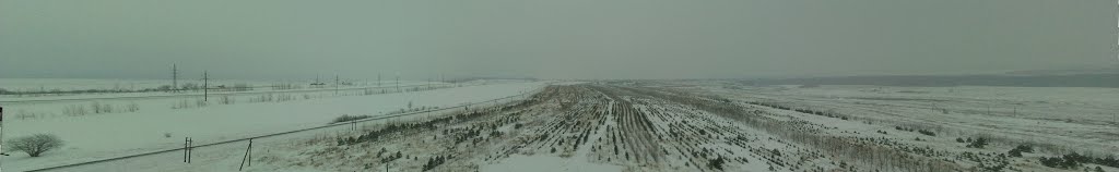Менделеевск