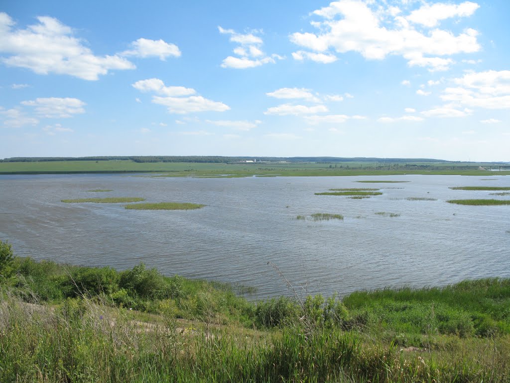 река Мензеля