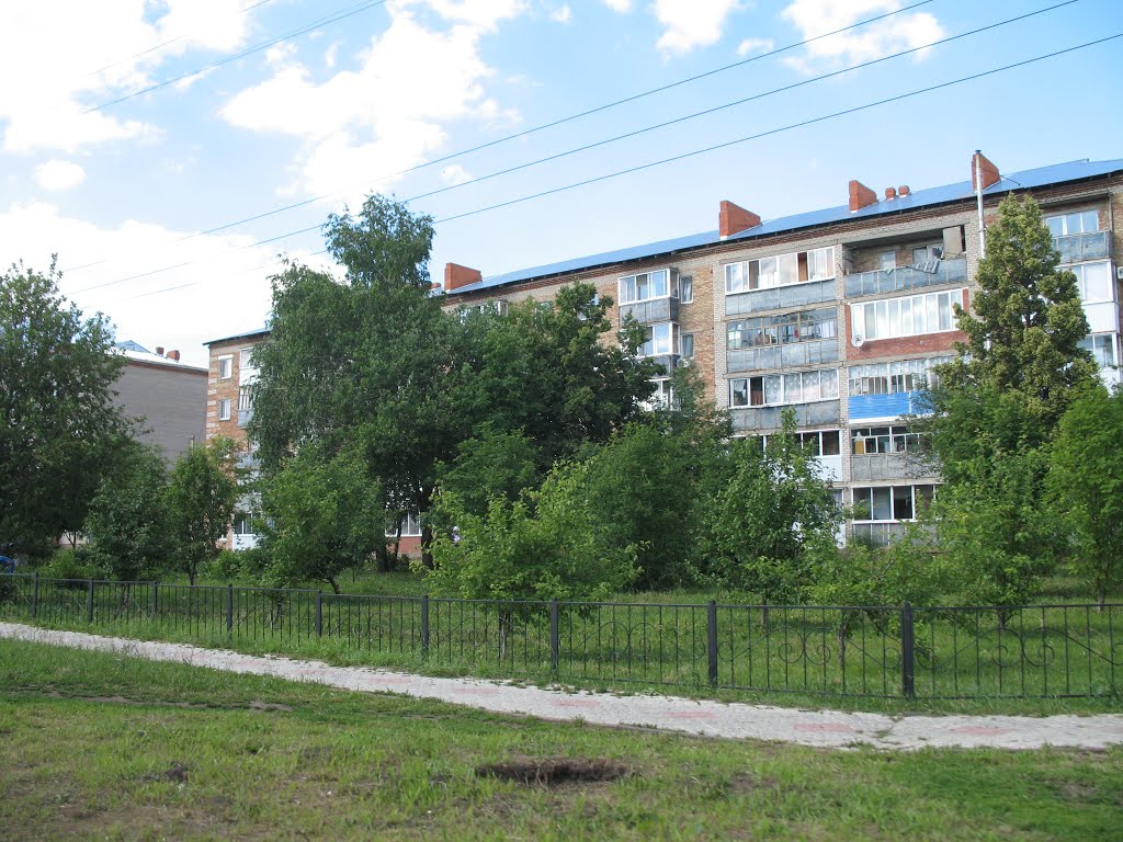 Мензелинск