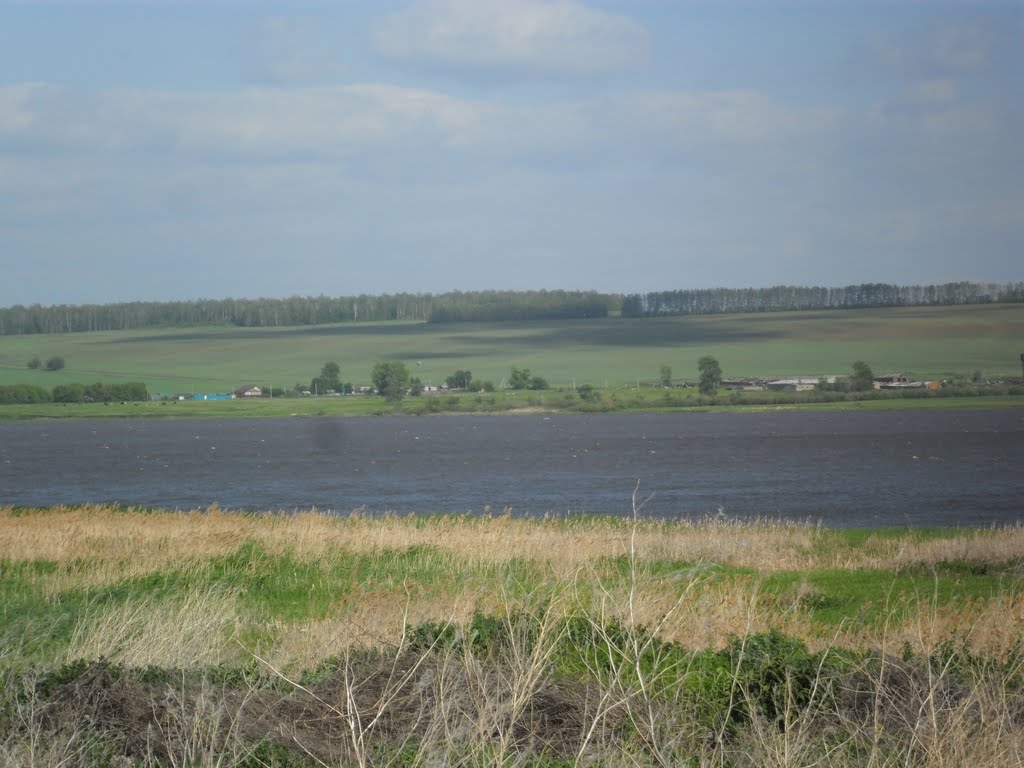 Река Мензелинка