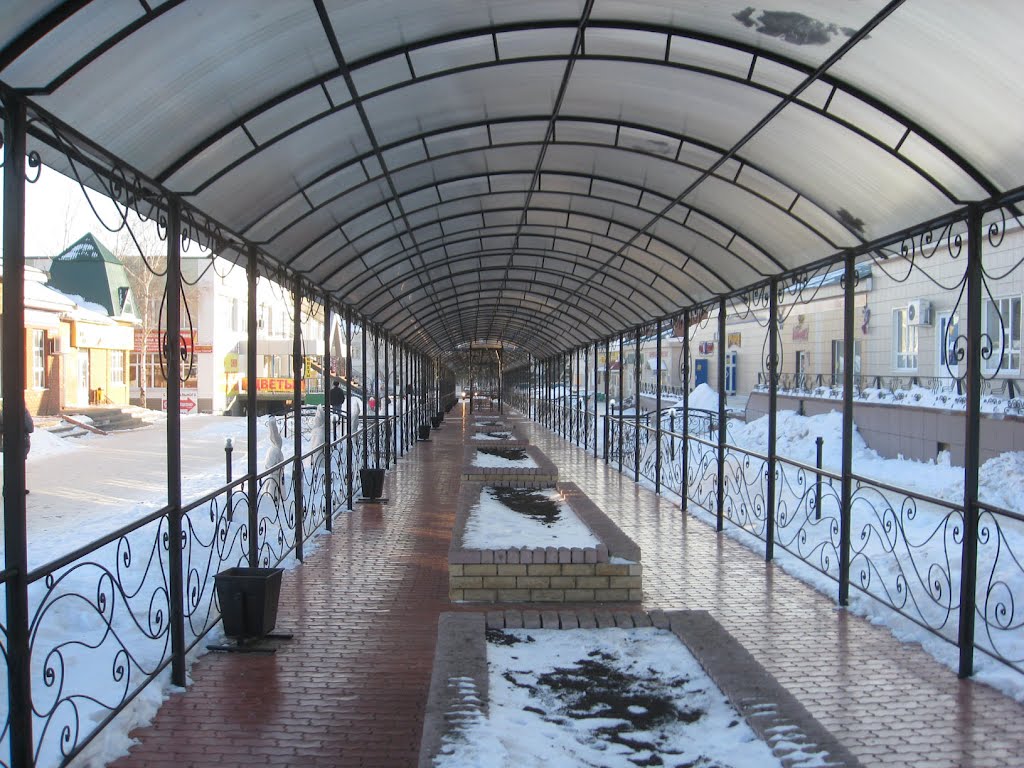 Мензелинск. Центр.