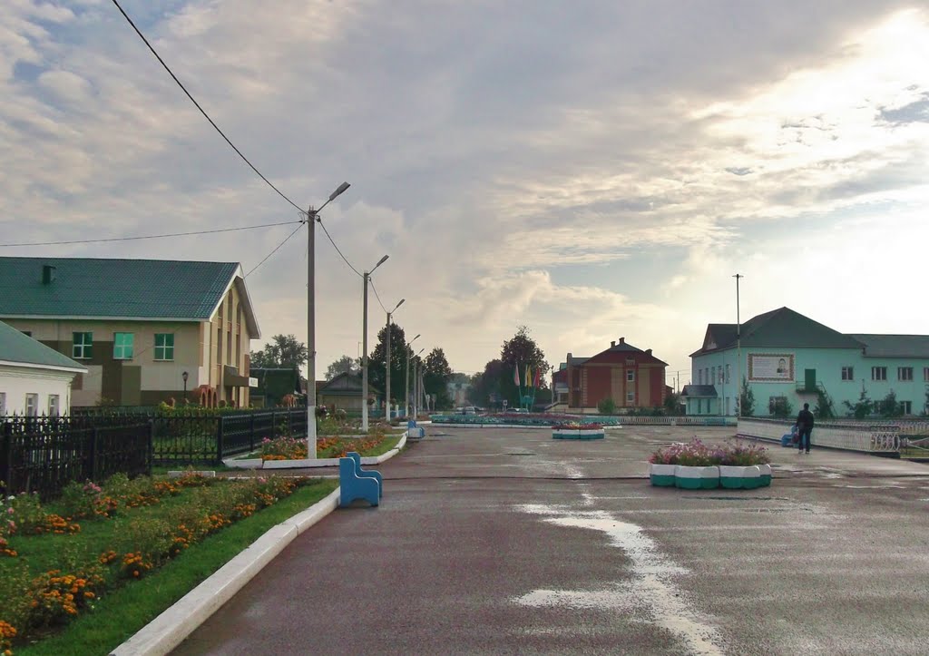 Муслюмово.Улица Пушкина