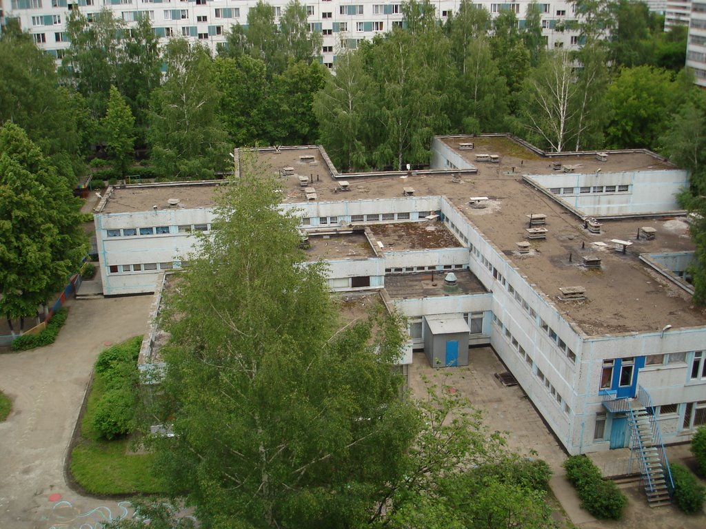 Садик во дворе 17/10