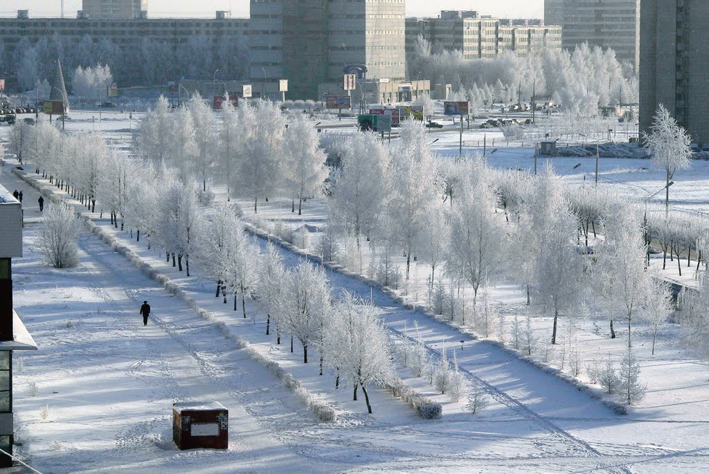 Зима  январь 2008