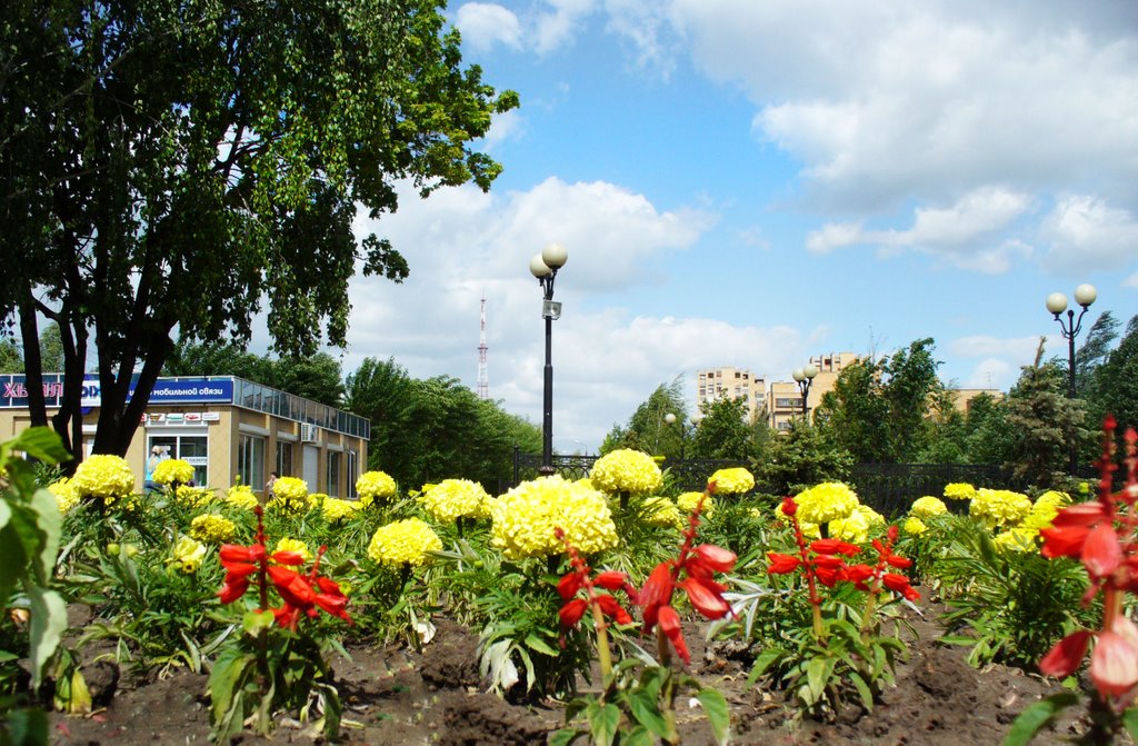 цветочная клумба