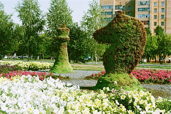 Шахматные фигуры