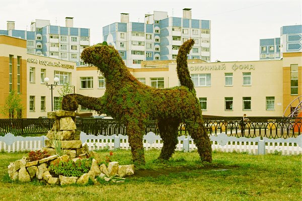 Барс