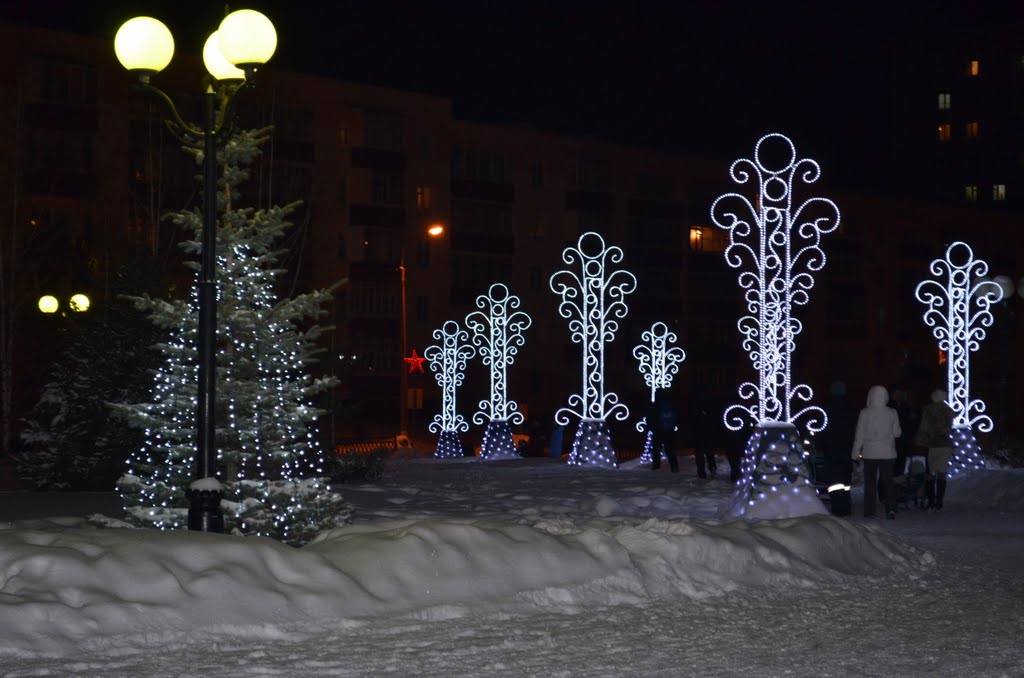 27.12.2011г