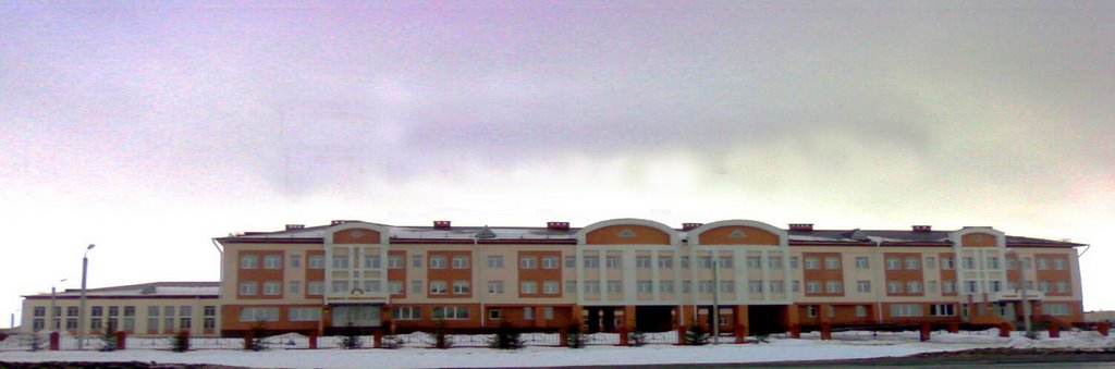 Гимназия