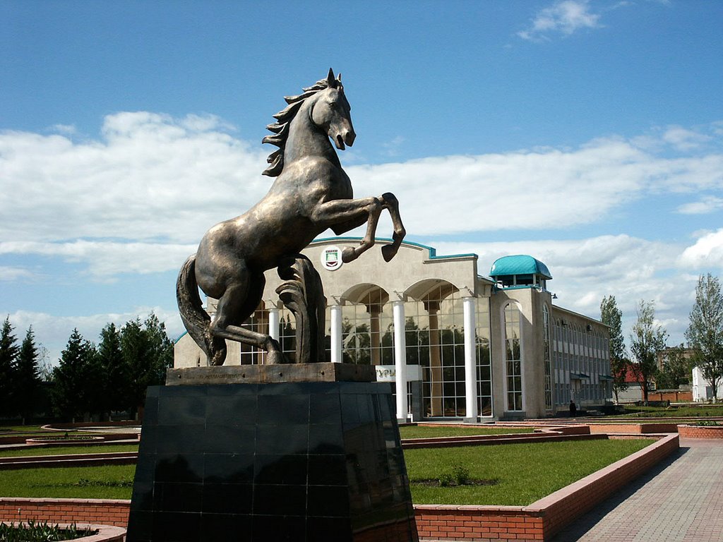 Аргамак. г. Нурлат