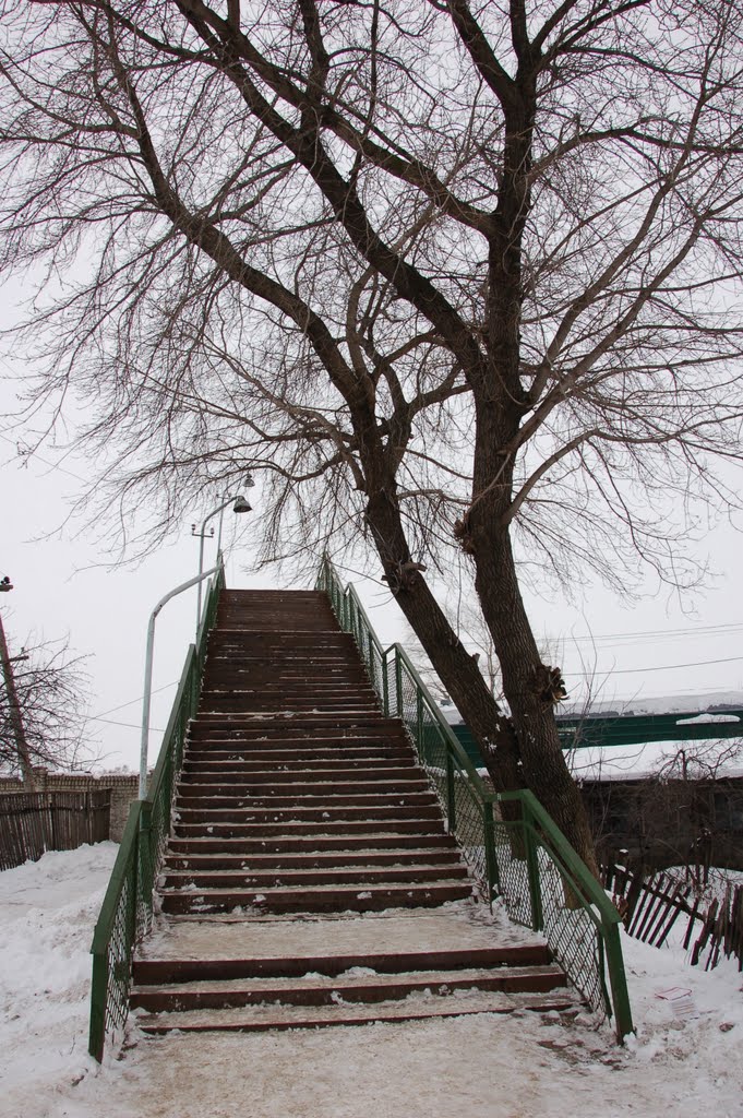 Пешеходный мост