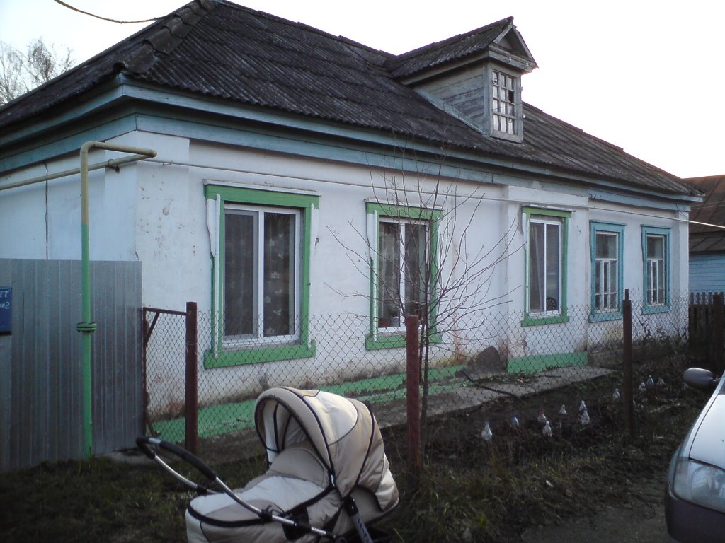 Пестрецы, ул. Советская