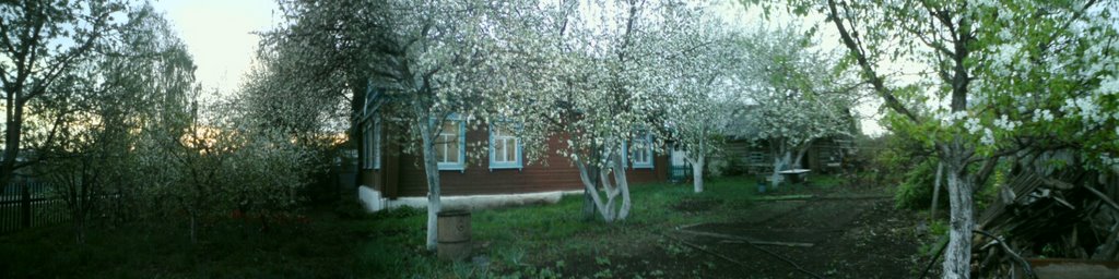 Пестецы. Весна