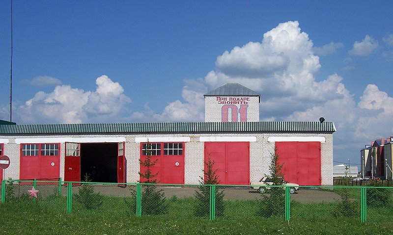 пестрецы