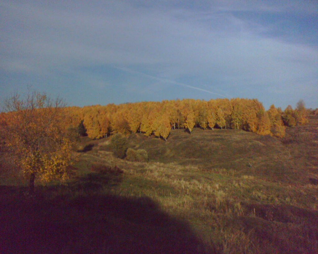 Сентябрь 2008