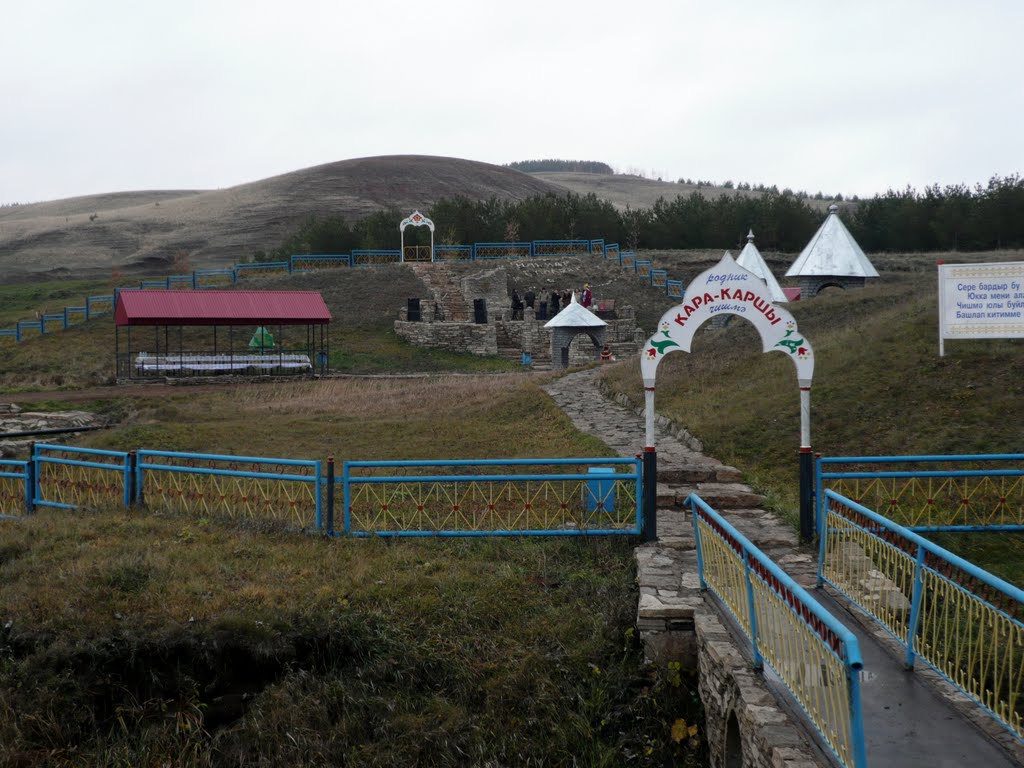 Родник Кара-Карши