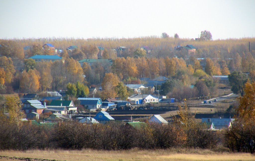 Вид на село Старое Дрожжаное
