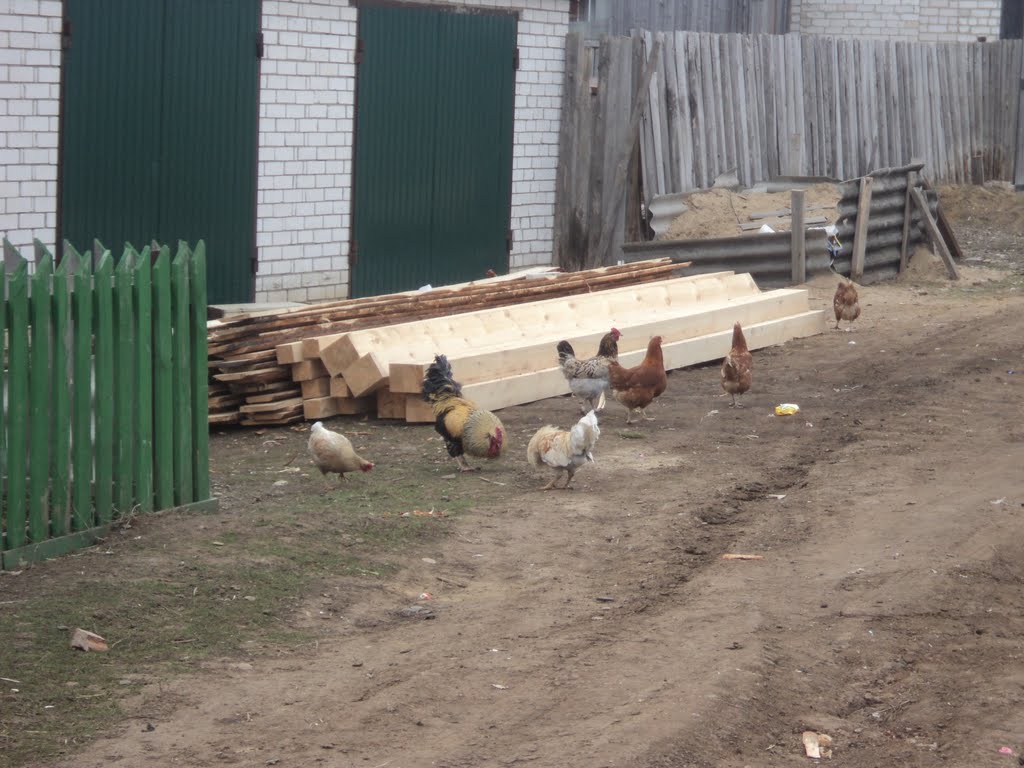 Тетюши. Карьеры.Майская Улица