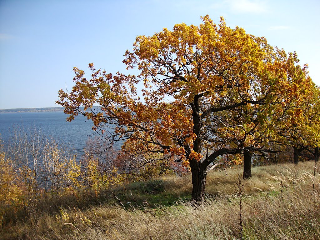 Осень