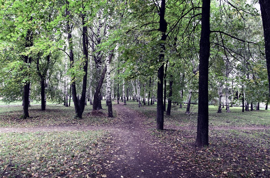 Ленинский сад