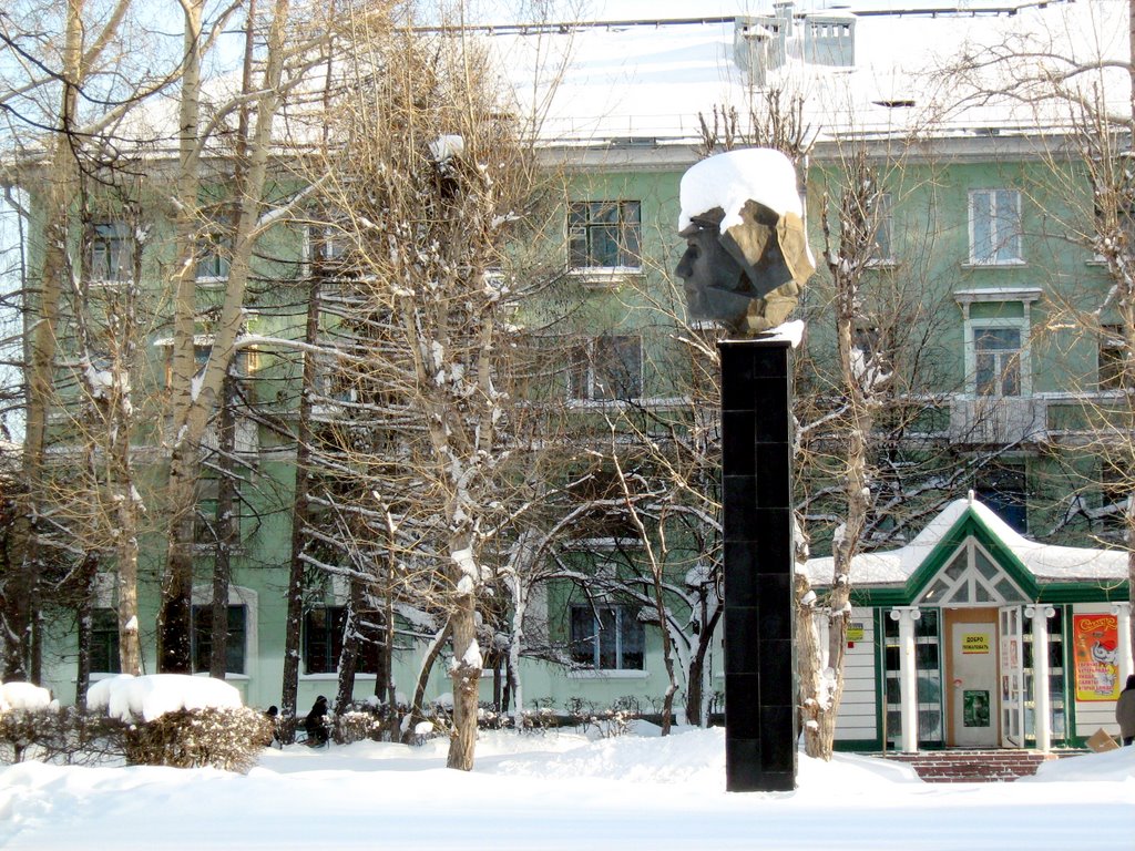 Павка Корчагин