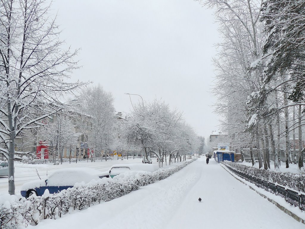 Вид на пр.Коммунистический, со стороны кукольного театра.