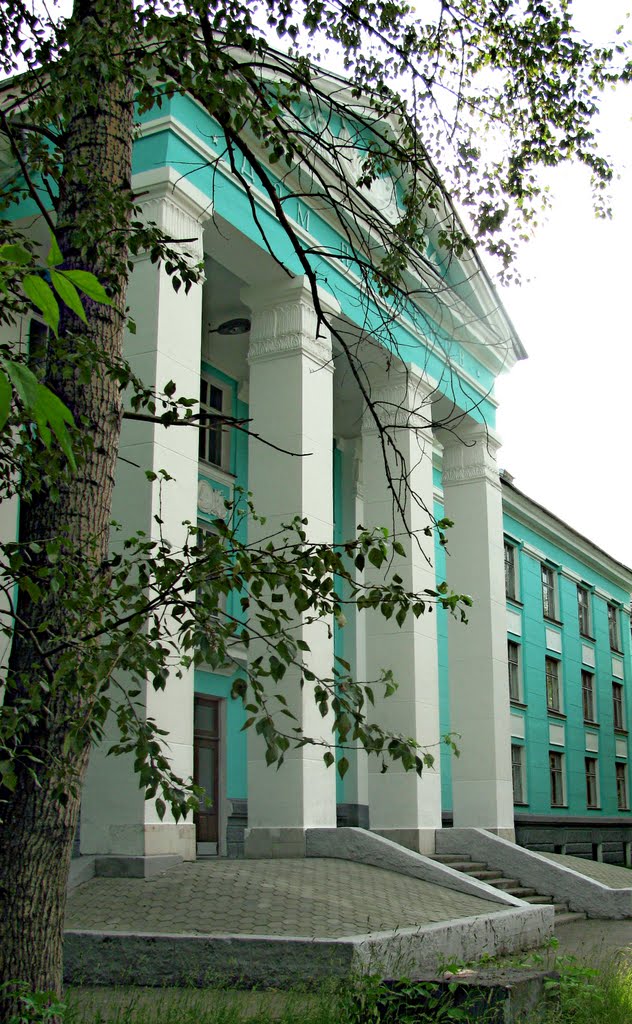 Дом пеионеров (центр детского творчества)