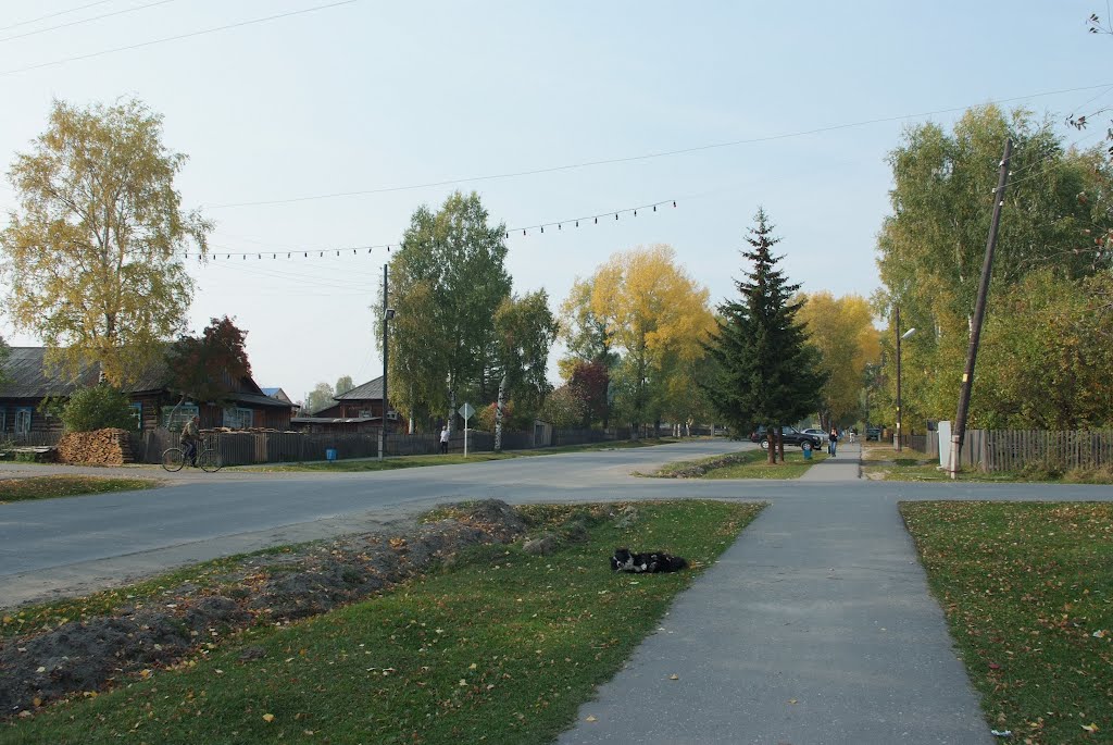Улица Гагарина
