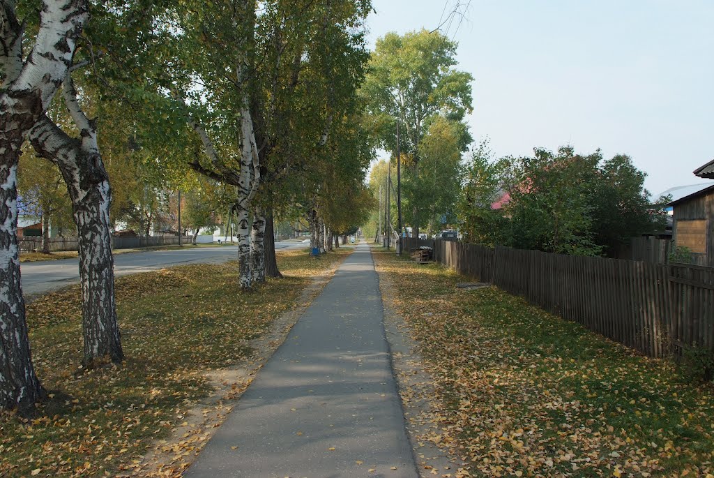 Улица Гагарина