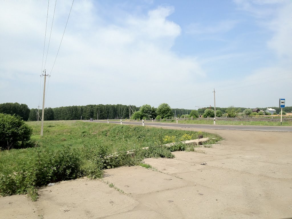 Берлинка Томской области